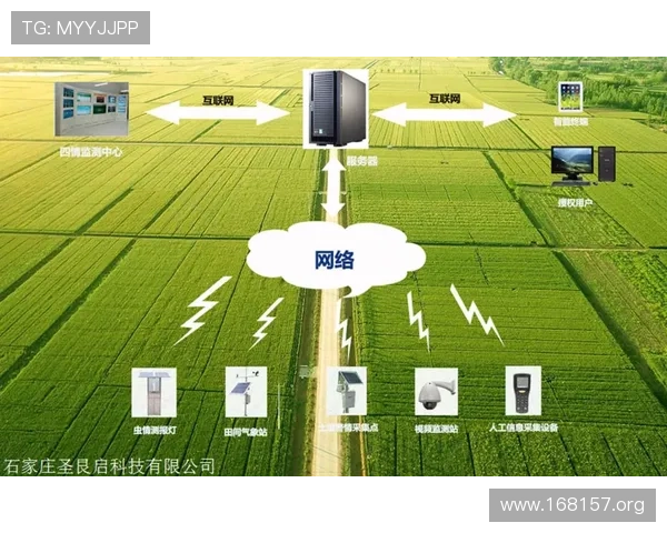 太阳城航空:打造绿色智慧出行新未来 太阳城航空:打造绿色智慧出行新未来